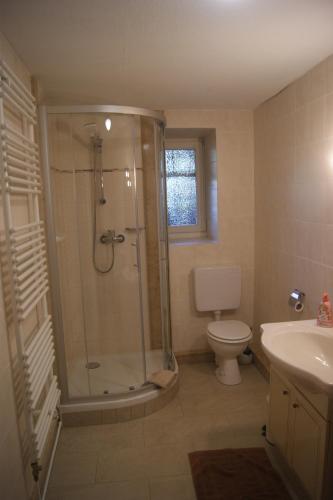 ein Bad mit einer Dusche, einem WC und einem Waschbecken in der Unterkunft Bei Ulla und Willi auf dem Land in Aachen