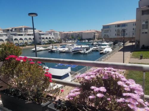 Sète Marina des Quilles, grand T2 climatisé, proche plage, parking privé