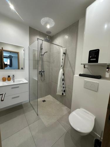 une salle de bain avec une douche, des toilettes et un lavabo dans l'établissement Grand studio rénové proche mer !, à Nice