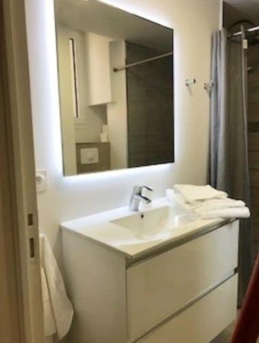 une salle de bain avec un lavabo et un miroir dans l'établissement Terrazzo, à Bastia