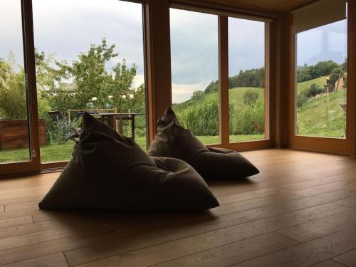 a room with pillows on a wooden floor with windows at Wohlfühlhaus mit großem Garten in Zgornja Kungota