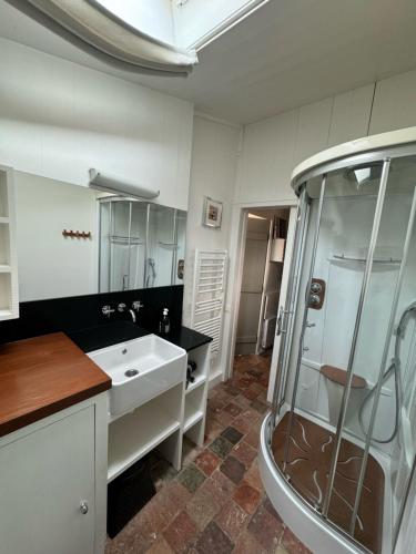 a bathroom with a shower and a white sink at Ma Chambre d'Amis in Saint-Clément-des-Baleines