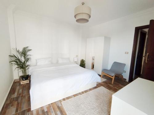 Una cama o camas en una habitación de white Bear royal