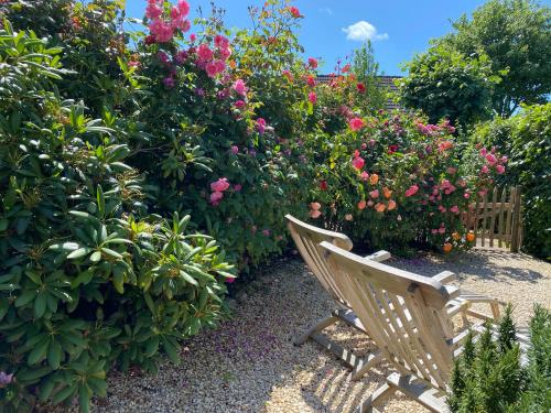 a wooden bench in front of a garden of flowers at Föhrienhaus in Midlum