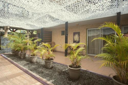 a row of potted plants in a courtyard at 2 - LE VACOA - CHAMBRE 2 - Rdc G in Saint-Paul