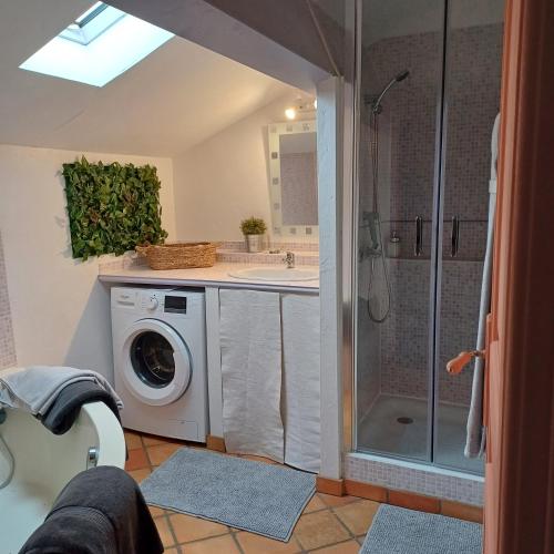 a bathroom with a shower and a washing machine at Clos Baroanni - Gîte Terra in Terraube