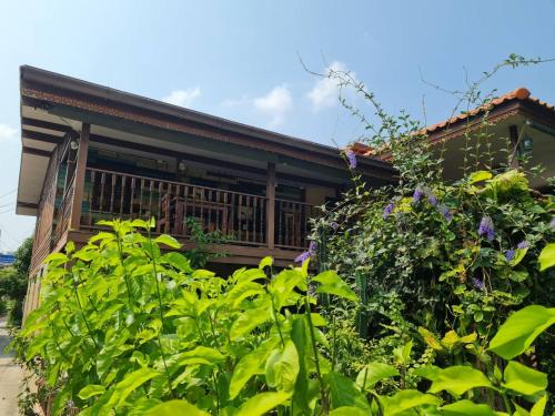 une maison avec beaucoup de plantes devant elle dans l'établissement Lamour Guesthouse ละเมอ เกสต์เฮาส์, à Pattaya (nord)