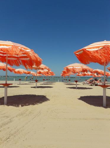 una playa con sombrillas naranjas y sillas en la arena en Palombeach en Ancona