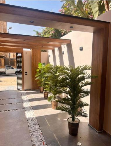 a row of potted plants in front of a building at Elite Boutique Hotel in Cairo