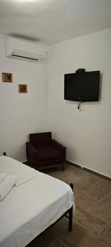 1 dormitorio con 1 cama, 1 silla y TV de pantalla plana en ANASA, en Ios Chora