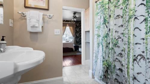 a bathroom with a sink and a shower curtain at Governor's Mansion beautiful 3bd with pool table in Leadville