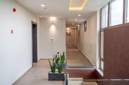 a hallway with a staircase and a door with plants at Dve Kule Resort & Winery in Bačinci