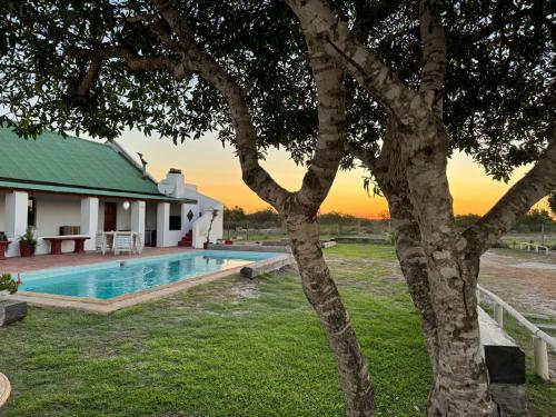 a villa with a pool and a tree at Tula Guest Farm in Yzerfontein