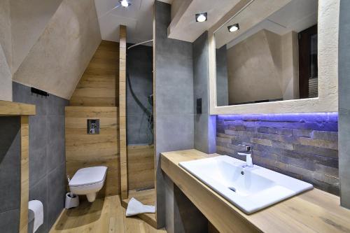 a bathroom with a sink and a toilet at Śwarna Wynajem Pokoi in Zakopane