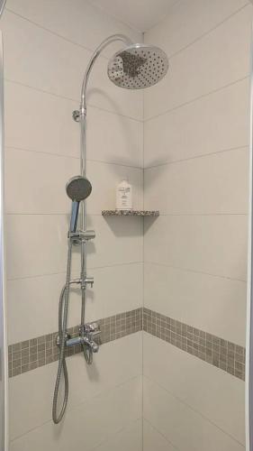 a shower with a shower head in a bathroom at Apartman Marija in Perušić