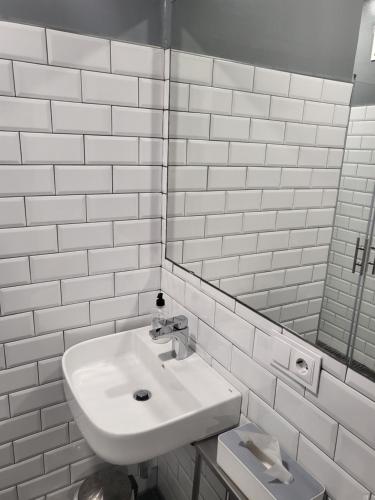 龐特維德拉的住宿－Acolá Sport Hostel，白色的浴室设有水槽和镜子