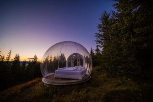 una cúpula de cristal con una cama en un campo en Buubble Hotel - Ölvisholt en Selfoss