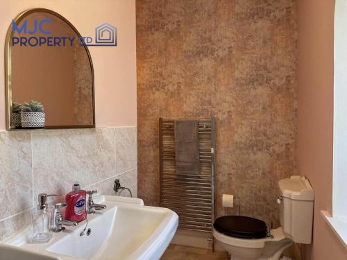 a bathroom with a sink and a toilet and a mirror at Cross Wynd view in Hawick