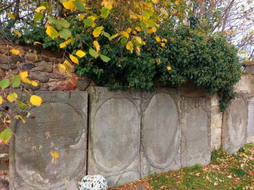 a stone wall with a hedge on top of it at Ałabajka in Wleń