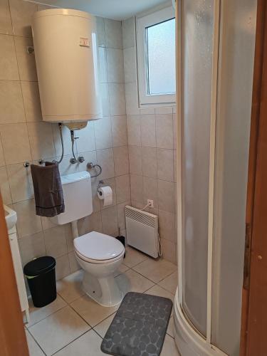 a small bathroom with a toilet and a shower at Brunarica Dolce Vita 85 in Brežice
