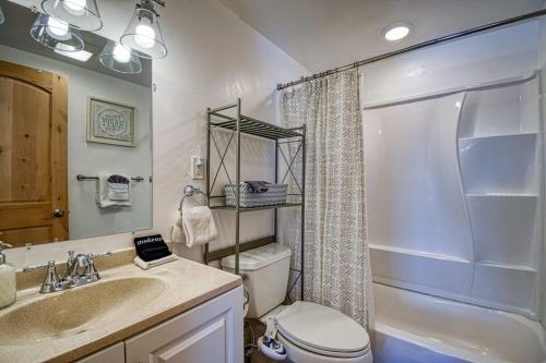 a bathroom with a sink and a toilet and a shower at The Hilltop Haven 2bd Suite and Pet Friendly in Leadville