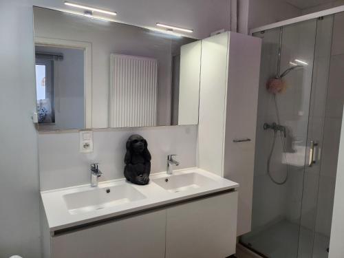 Vonios kambarys apgyvendinimo įstaigoje L'orchidée