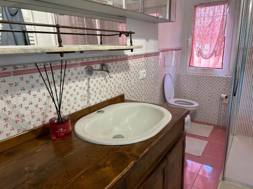 a bathroom with a sink and a toilet at LA CURT guest house in Artogne