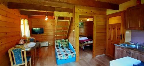 波蘭茲克的住宿－Domek 667-798-007，小屋内带双层床的房间