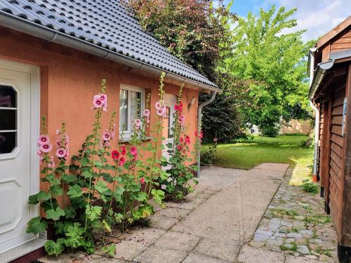 a house with pink flowers on the side of it at Ferienhaus Moewe in Hanshagen