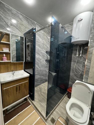 a bathroom with a shower and a toilet and a sink at City Plaza Krenkel 2 in Samarkand