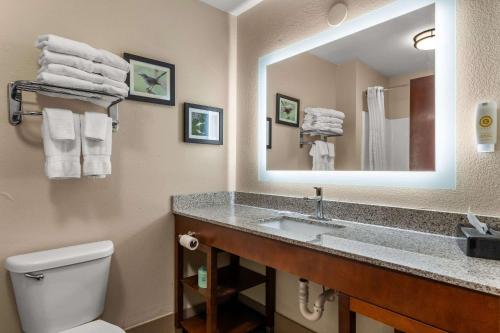 y baño con lavabo, aseo y espejo. en Comfort Inn & Suites Chipley I-10 en Chipley