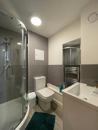 een badkamer met een toilet, een douche en een wastafel bij Downtown Sheffield Retreat in Sheffield