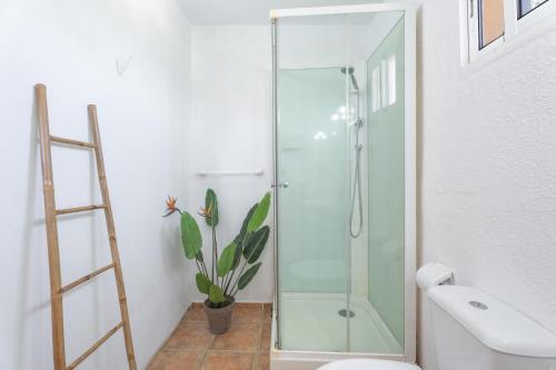 a glass shower in a bathroom with a plant at Casa Rosa in Torrent