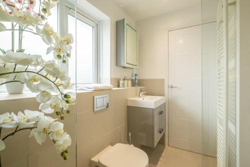 een badkamer met een toilet, een wastafel en een raam bij Delightful CENTRAL Duplex - 2 Mins To Station in Cambridge