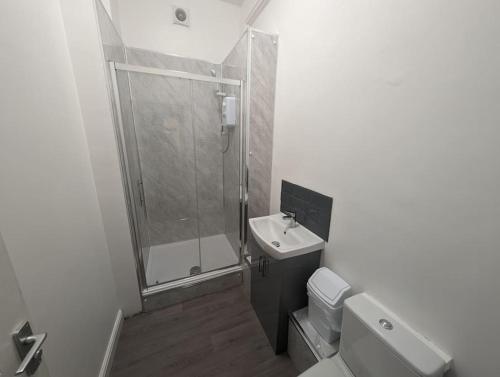 a bathroom with a shower and a sink and a toilet at Seaview House - Flat 2 in Lowestoft