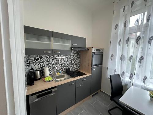 a small kitchen with a sink and a counter at Paky Appartements 00210 in Vienna