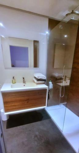 une salle de bain avec un lavabo et un miroir dans l'établissement Bel appartement, idéal pour visiter Paris, Disney, à Vincennes