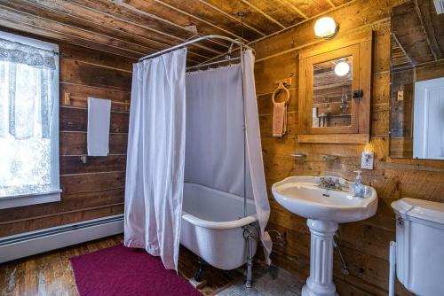 a bathroom with a sink and a shower and a toilet at Rosemont in Leadville