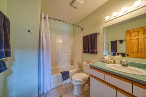 ein Bad mit einem WC, einem Waschbecken und einer Dusche in der Unterkunft Trapper`s Treasure 5B in Leadville