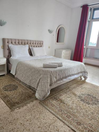 Un pat sau paturi într-o cameră la Le grand bleu appartement