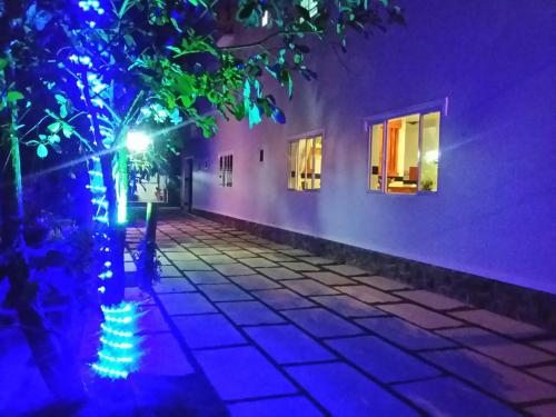 a building with purple lights and a tree at Minh Nhi Hotel in La Gi