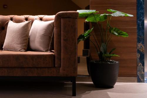 a plant in a pot next to a couch at Hotel De‘Andros Virpazar in Virpazar