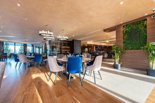 巴爾的住宿－Hotel De‘Andros Virpazar，一间配备有蓝色椅子和桌子的用餐室