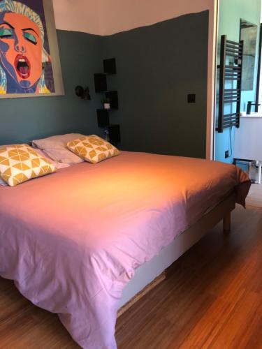 1 cama con 2 almohadas en una habitación en Adorable Appartement de 60 m2 avec terrasse privée de 100m2 -lumineux - calme et verdure à 10 min de la mer, en Cagnes-sur-Mer
