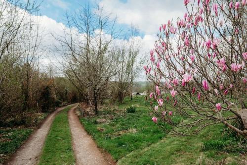Jardín al aire libre en Robin Nest - Cosy Shepherd's Hut Hideaway