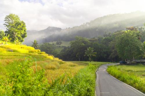 Un paisaje natural cerca del camping