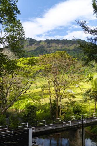 Un paisaje natural cerca del camping
