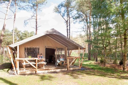 a small tent in the middle of a forest at Safaritent in Alphen