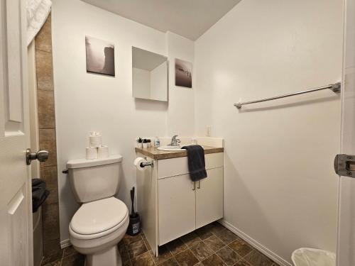 ein weißes Bad mit einem WC und einem Waschbecken in der Unterkunft The MJ Tunnel Renovated Suite WiFi Parking in Moose Jaw