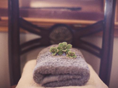 a small green plant sitting on top of a towel at De Avond Rust in Oudtshoorn